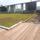 제일소아청소년과의원 이미지