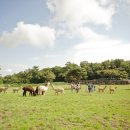 애월에서 이미지