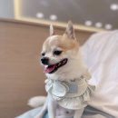 서창사랑동물의료센터 이미지