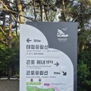 영도여행 필수코스 부산 태종대유람선 탑승후기(+탑승 꿀팁)