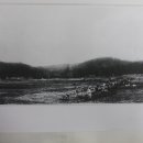 송암농장(2) 이미지