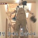 카페짚