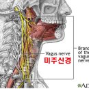 연세길한의원 이미지