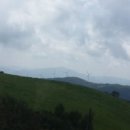 흔들목장 이미지