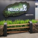 한라오토카 이미지