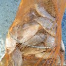 삼방낚시터 이미지