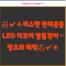 (주)리스펫 이미지