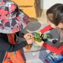 안성시 농업기술센터 이미지