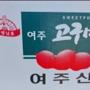 고구마캐기체험