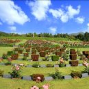 UN기념공원 이미지