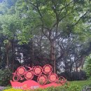 도심공원 | 중국여행 광동성 광저우 월수공원 후기2, 도심 속 거대한 숲과 호수 산책 코스.