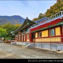 용성사
