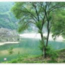 한반도면-3 이미지