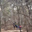 명동파크장 | 호남정맥 10-3구간(개운치~가인연수관,2019.2.23~24일)
