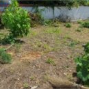 소로3-164 이미지