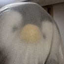 사랑으로세탁 이미지