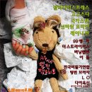 넘버원팩토리