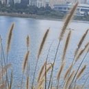 시쓰는 수요일 이미지