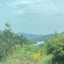 대가야 가든 이미지