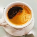 모어댄커피