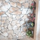 더화이트치과의원 이미지