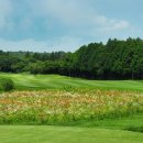 사이프러스골프리조트 이미지