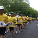 제주도 여름 성수기 참고 사항들 이미지