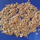 김선규농장 이미지