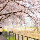 구로-구로-구로-839 이미지