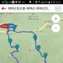 유일사 이미지