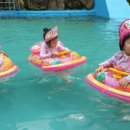 봉동 구수골 계곡 이미지