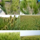 희망축산 이미지