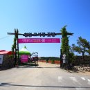 GR(철원군)-[호국로]-하-1 | 맛있는 철원 미식여행 고석정두부촌 수제두부요리 , 윤칼제비 칼국수 만두