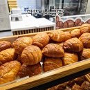 페드라일룸스타필드고양 | 빵 냄새 따라갔다가 줄 섰어습니다! 스타필드 고양 박뚜기 소금빵 팝업 후기