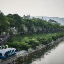 황금비늘 테마거리 이미지