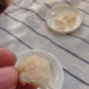 펫북(Pet Book) 이미지