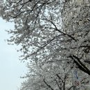 부띠끄카페제이 | [결혼준비]종로 웨딩밴드 투어 결정 및 후기(제이버튼 주얼리, 소린 주얼리, 므온트)