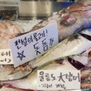 강남-234 이미지