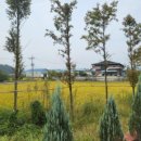 야생화정원펜션민박 이미지