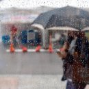 채호농장 이미지