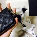 올리브영에서 트롤 브랜치 헤드뱅잉 먼지떨이 사짜나!! 왜샀냐구??돈쓰는건즐거워(+냥이사진추가) 이미지