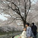 양재시민의 숲(버스정류장 앞) 이미지