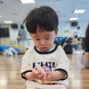 11650-13-10-18 | 18개월 아기 뭐하지? 유아체육 짐짐펀 후기 :: 홈플러스 병점 문화센터 포도쌤 수업