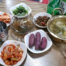금자이모네포차 네이버블로그