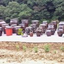 비야대정로 이미지