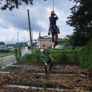 삼죽축구장 이미지