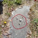 임계초등학교 병설유치원 이미지