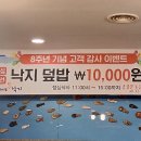 함평해보뻘낙지 이미지