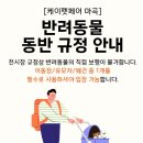 2026케이펫페어 마곡 나만 멍냥이 없어..그래도 재밌었던 펫페어 후기