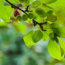 바다여인숙 이미지